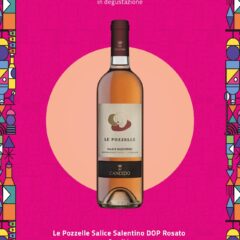 Immagine WhatsApp 2025-11-14 ore 12.47.58_36535cb8 Immagine WhatsApp 2025-11-14 ore 12.47.58_36535cb8