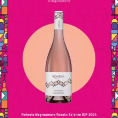 Immagine WhatsApp 2025-11-14 ore 12.47.58_68ead1e3 Immagine WhatsApp 2025-11-14 ore 12.47.58_68ead1e3