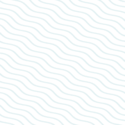assets-08 assets-08